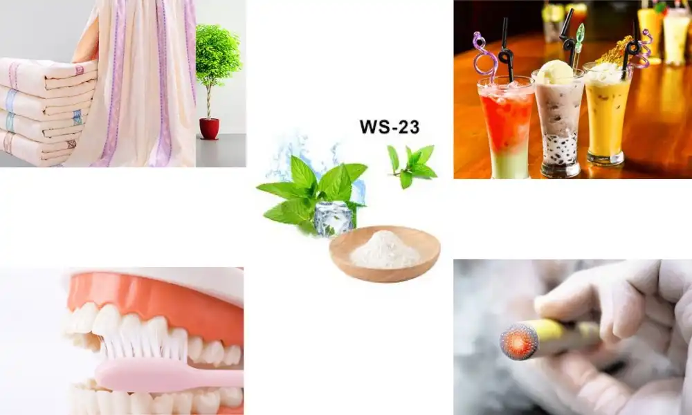 What is the difference between menthol and WS 23?